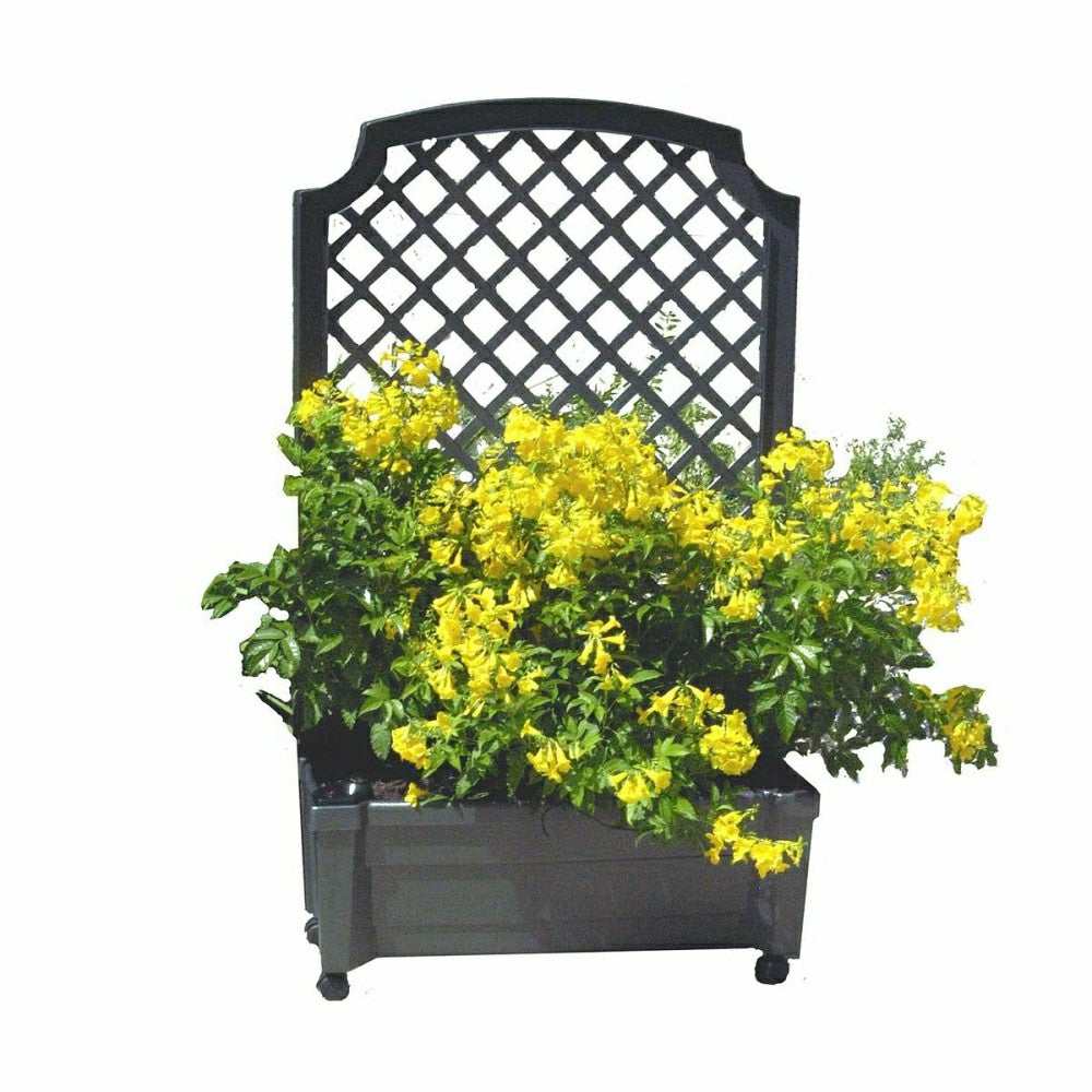 Self-Watering Garden Planter with Trellis | Plow & Hearth
