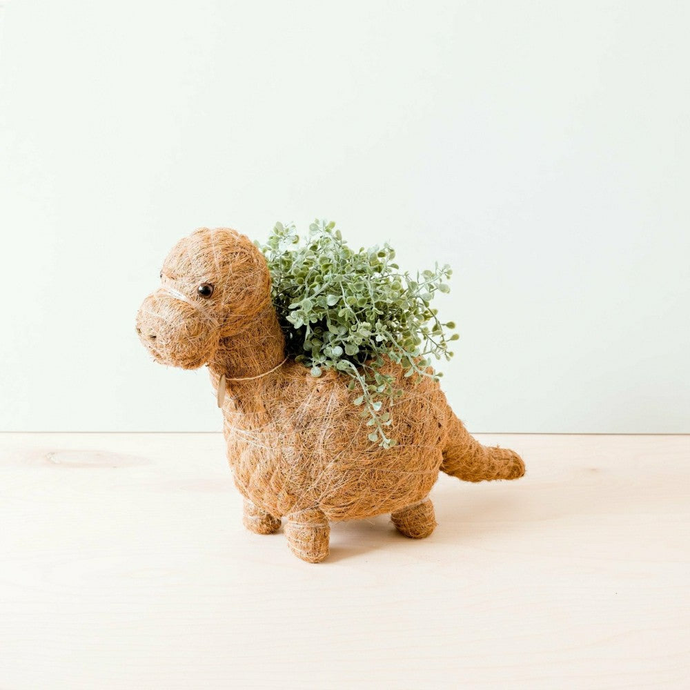 Brontosaurus Planter - Coco Coir Pots | Plow & Hearth