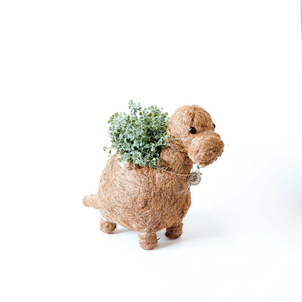 Brontosaurus Planter - Coco Coir Pots | Plow & Hearth