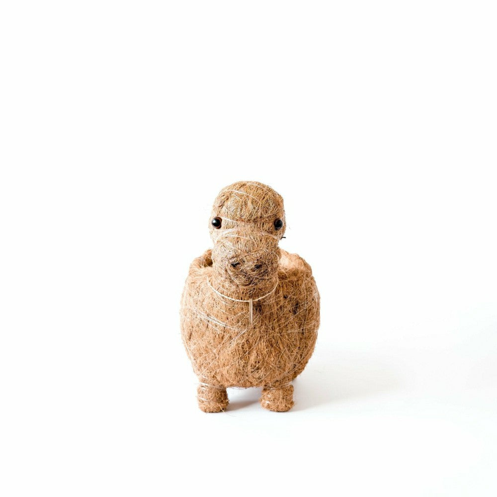 Brontosaurus Planter - Coco Coir Pots | Plow & Hearth