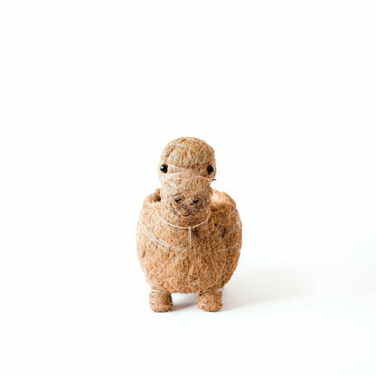 Brontosaurus Planter - Coco Coir Pots | Plow & Hearth