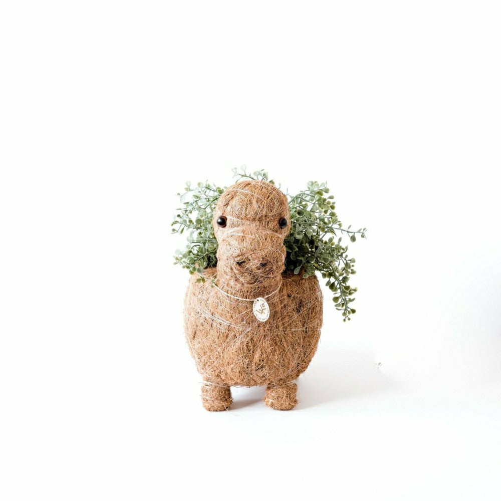 Brontosaurus Planter - Coco Coir Pots | Plow & Hearth