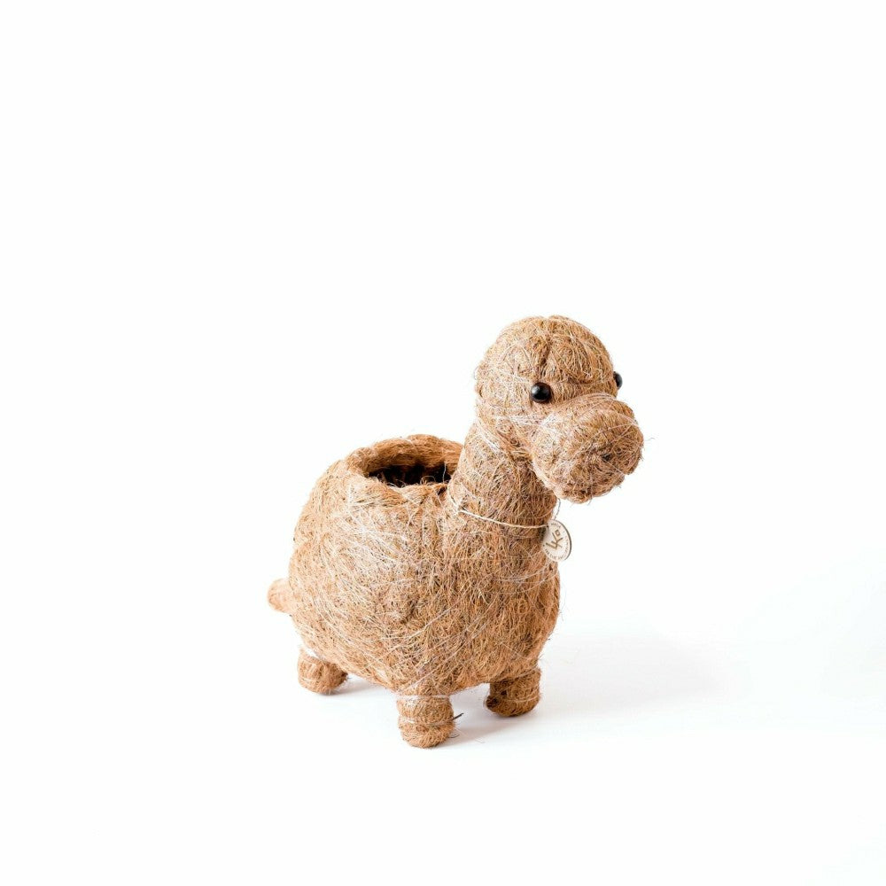 Brontosaurus Planter - Coco Coir Pots | Plow & Hearth