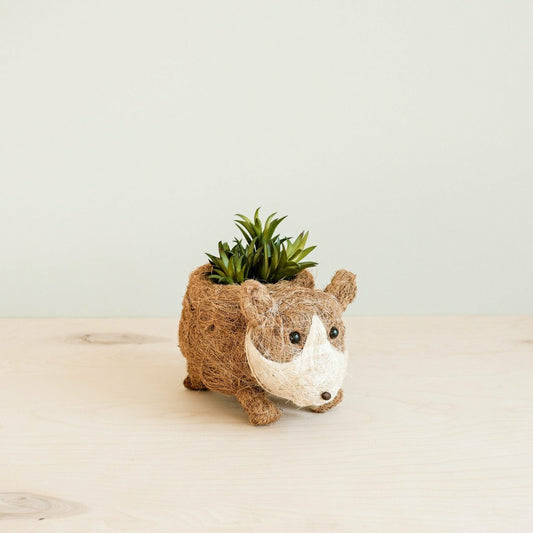 Baby Corgi Succulent Pot - Handmade Planters | Plow & Hearth