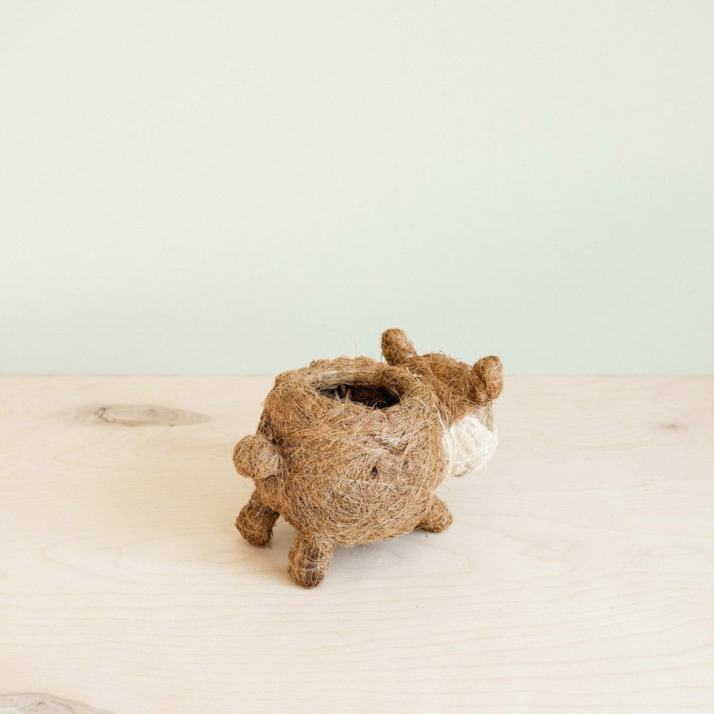 Baby Corgi Succulent Pot - Handmade Planters | Plow & Hearth