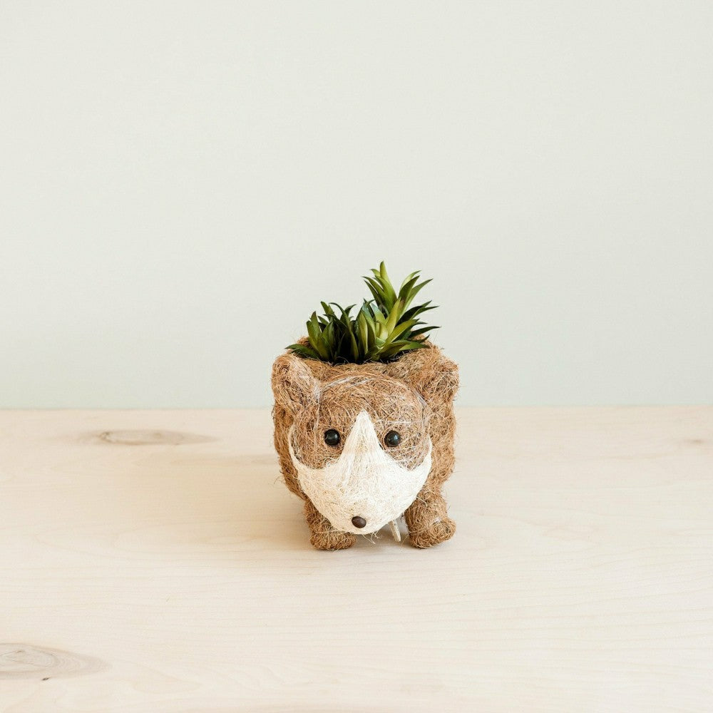 Baby Corgi Succulent Pot - Handmade Planters | Plow & Hearth