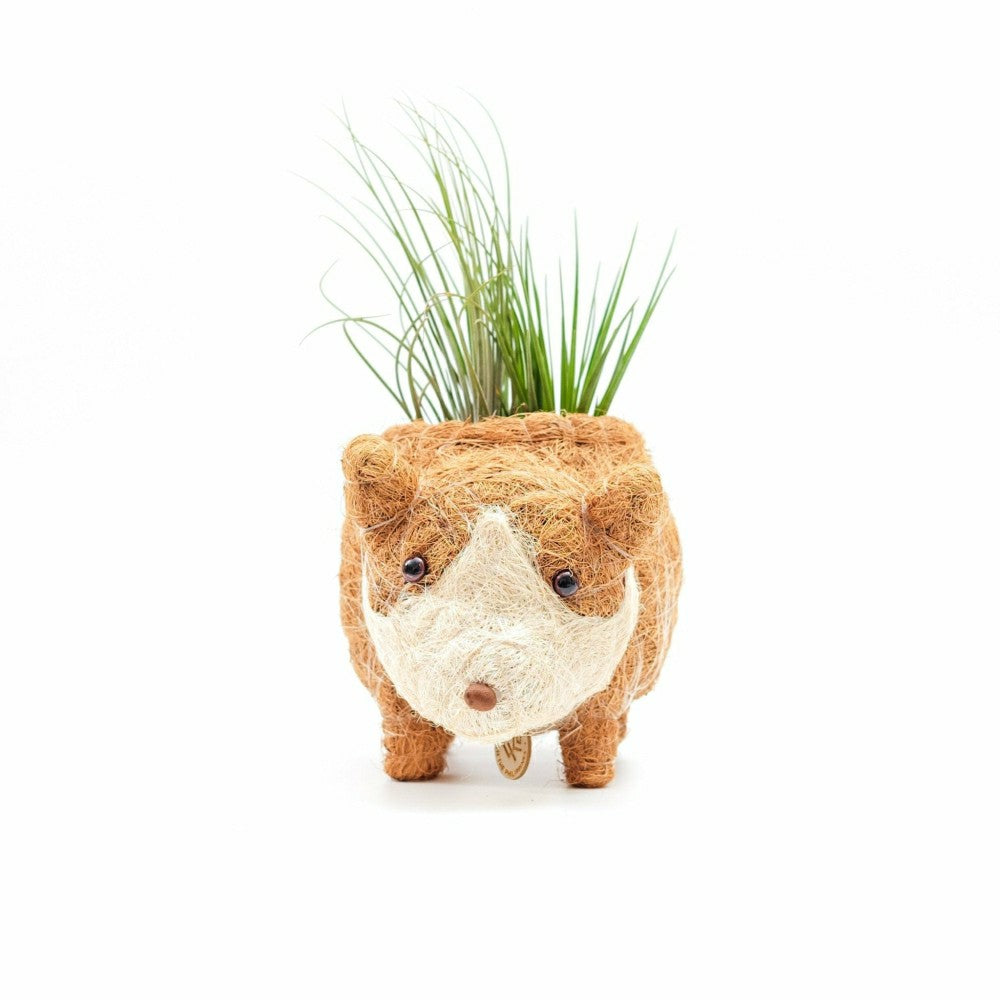 Baby Corgi Succulent Pot - Handmade Planters | Plow & Hearth