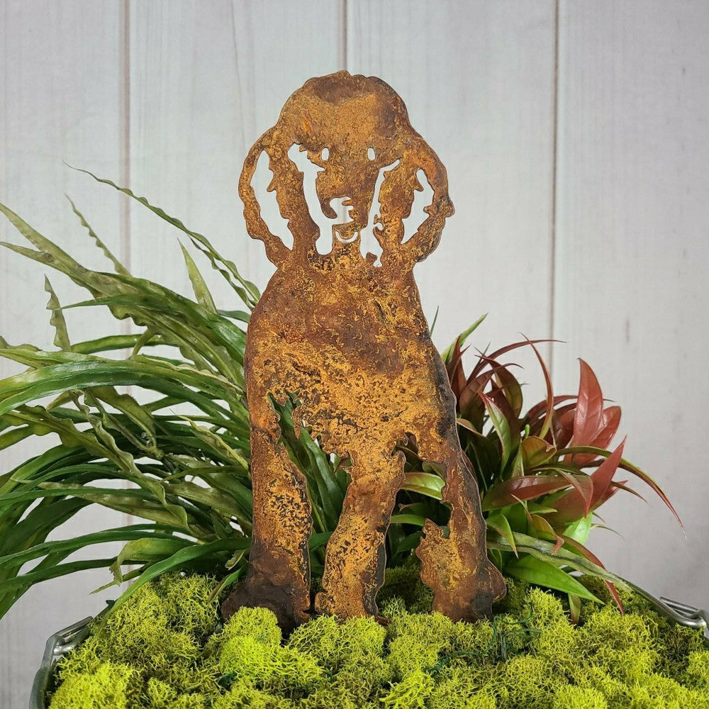 Poodle | Plow & Hearth
