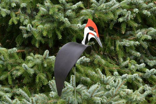 Pileated Woodpecker Dancing Bird Garden Stake | Plow & Hearth