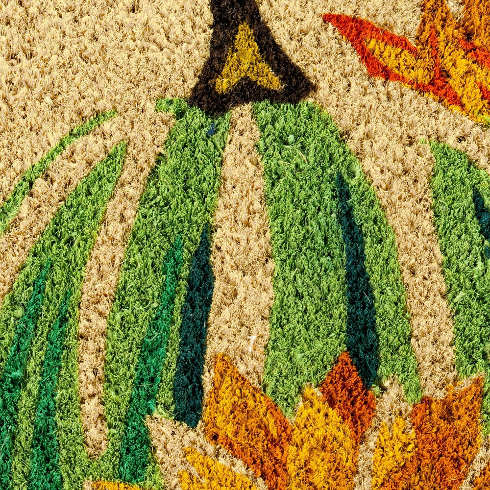 Harvest Pumpkin Coir Mat | Plow & Hearth