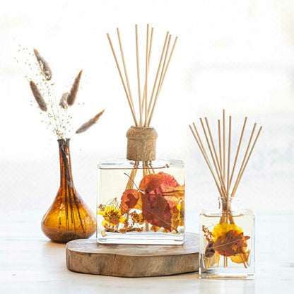 Signature Botanical Reed Diffuser - Harvest Pumpkin | Plow & Hearth