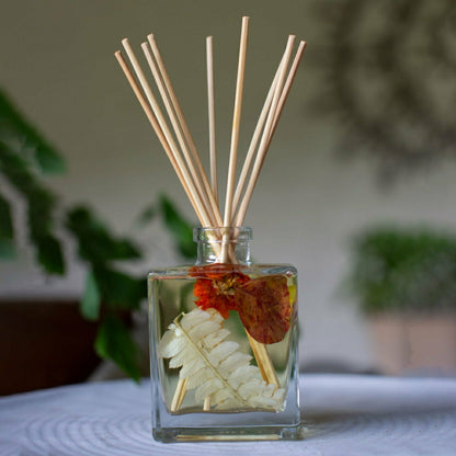 Accent Botanical Reed Diffuser - Honey Tobacco | Plow & Hearth