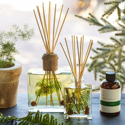 Signature Botanical Reed Diffuser - Forest | Plow & Hearth