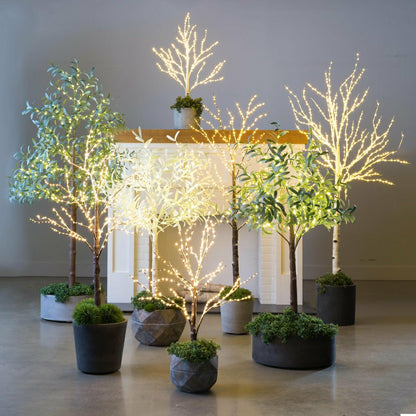 7' Lit Faux Olive Tree, White | Plow & Hearth