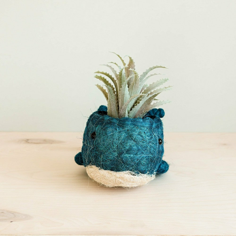 Wicker Whale Planter - Coco Planter | Plow & Hearth