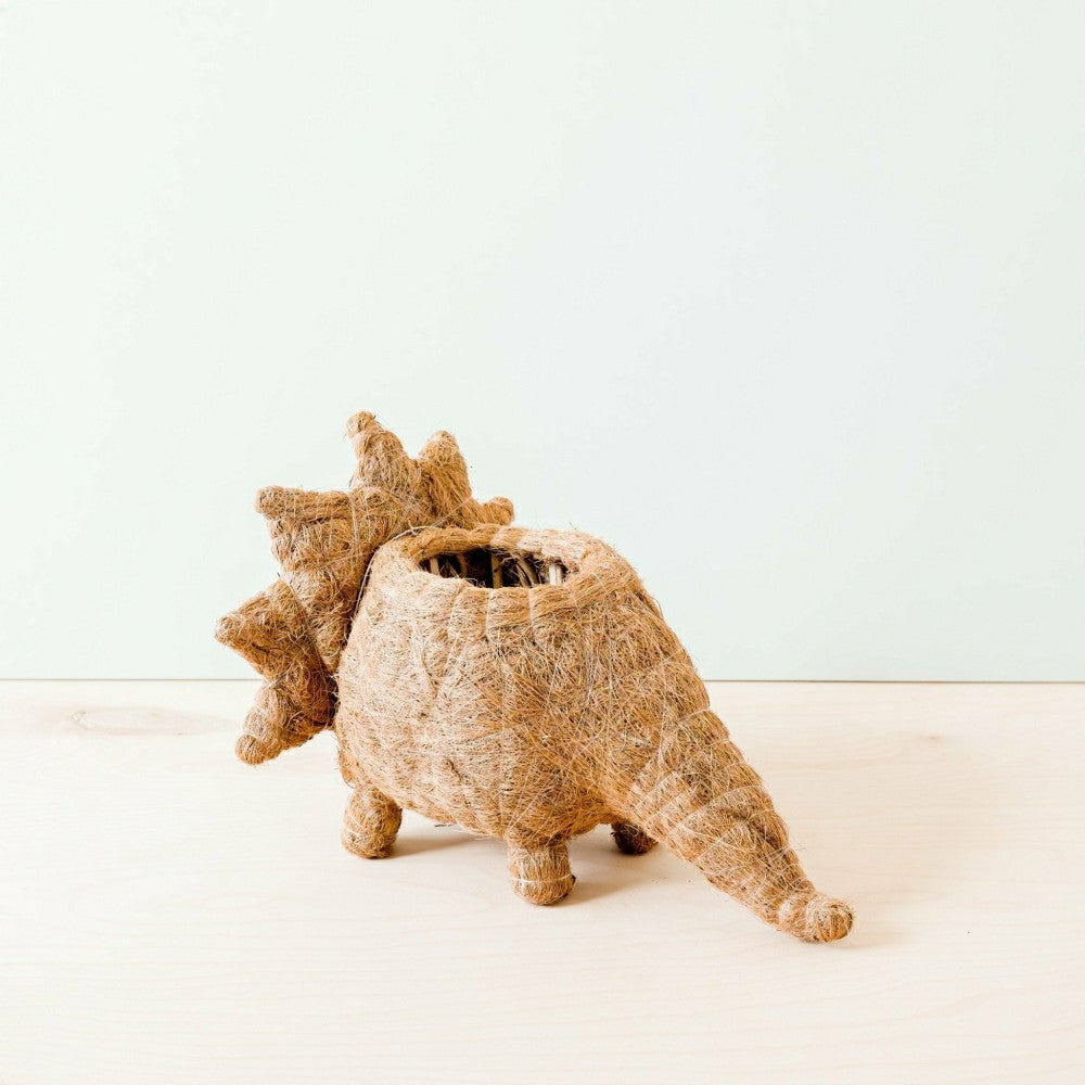 Triceratops Planter - Coco Coir Pots | Plow & Hearth