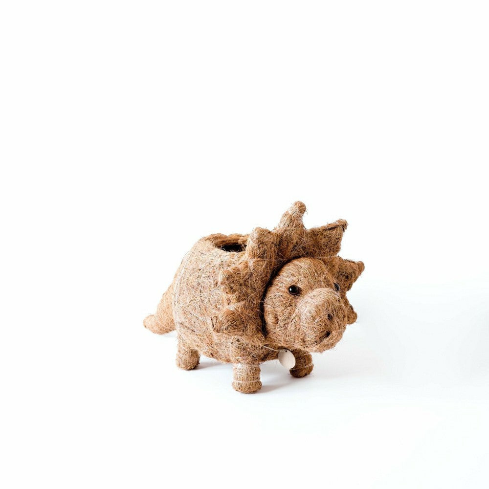 Triceratops Planter - Coco Coir Pots | Plow & Hearth
