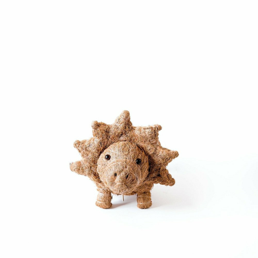 Triceratops Planter - Coco Coir Pots | Plow & Hearth
