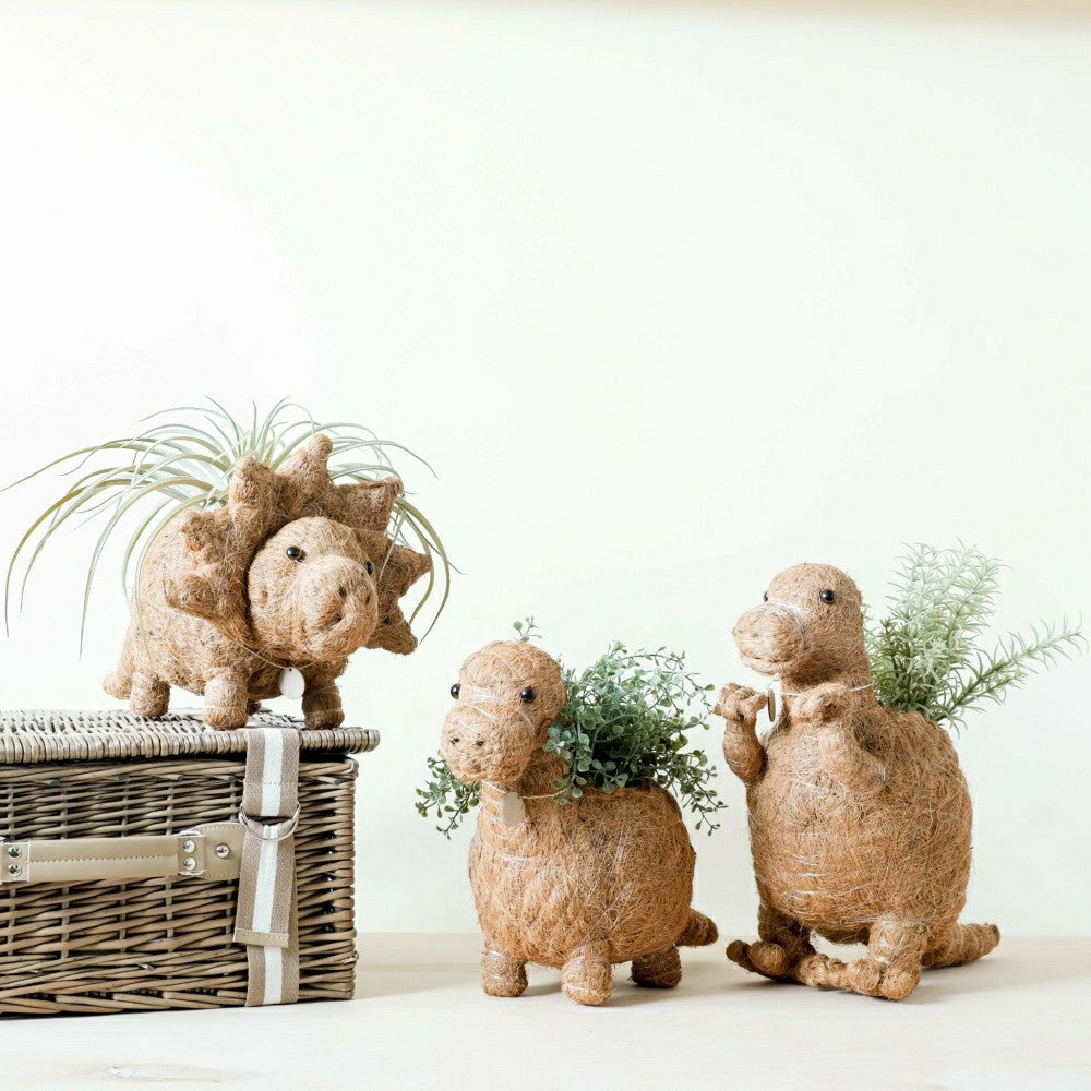 Triceratops Planter - Coco Coir Pots | Plow & Hearth