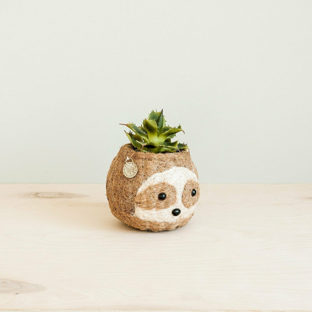 Two-tone Sloth Coco Coir Planter | Plow & Hearth