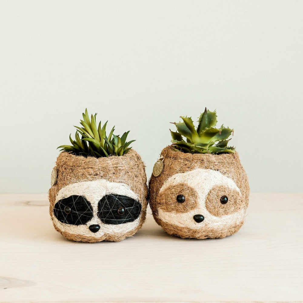 Two-tone Sloth Coco Coir Planter | Plow & Hearth