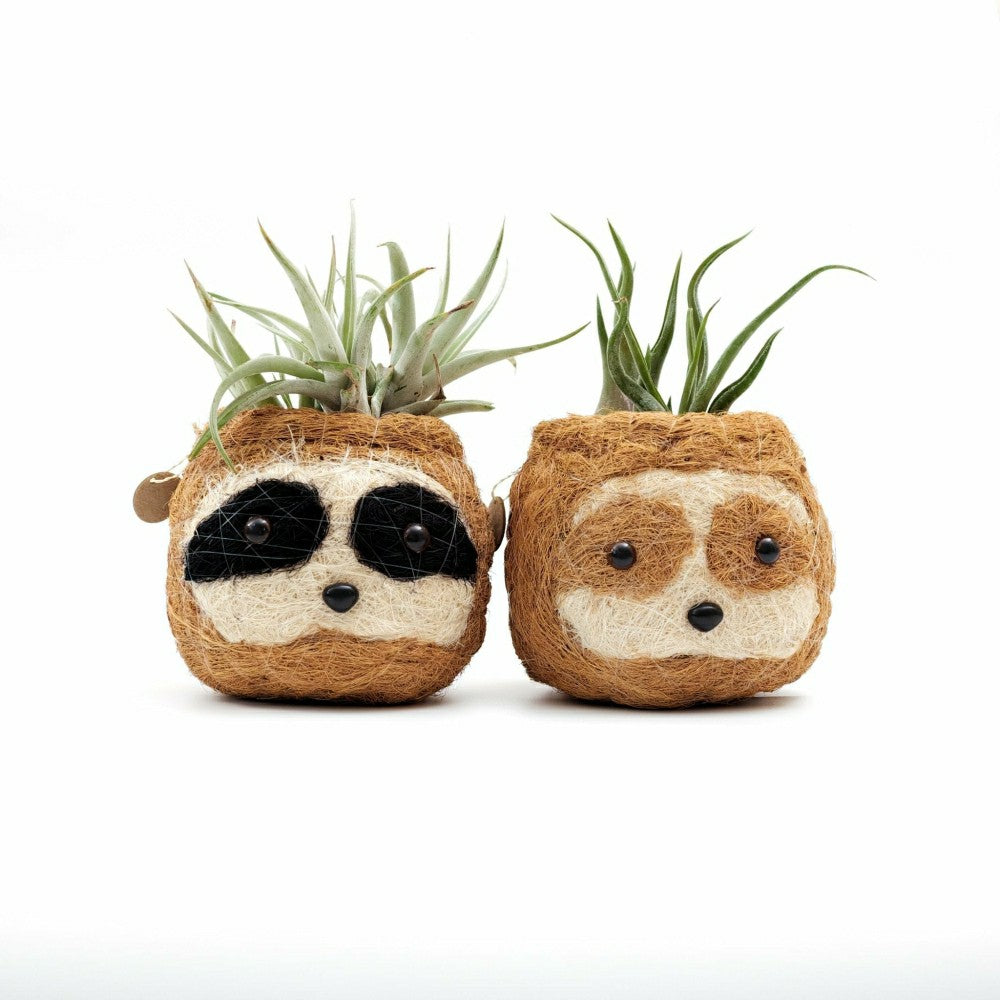 Two-tone Sloth Coco Coir Planter | Plow & Hearth