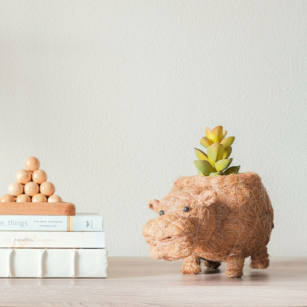 Hippo Planter - Coco Planter | Plow & Hearth