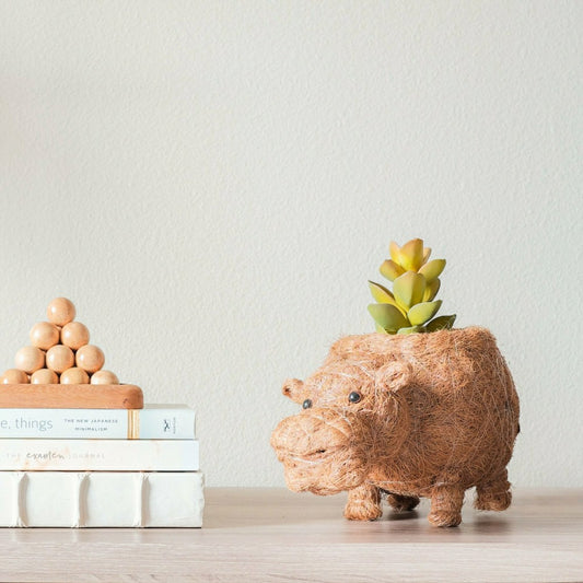 Hippo Planter - Coco Planter | Plow & Hearth