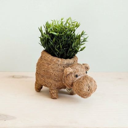 Hippo Planter - Coco Planter | Plow & Hearth