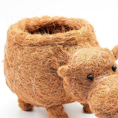 Hippo Planter - Coco Planter | Plow & Hearth