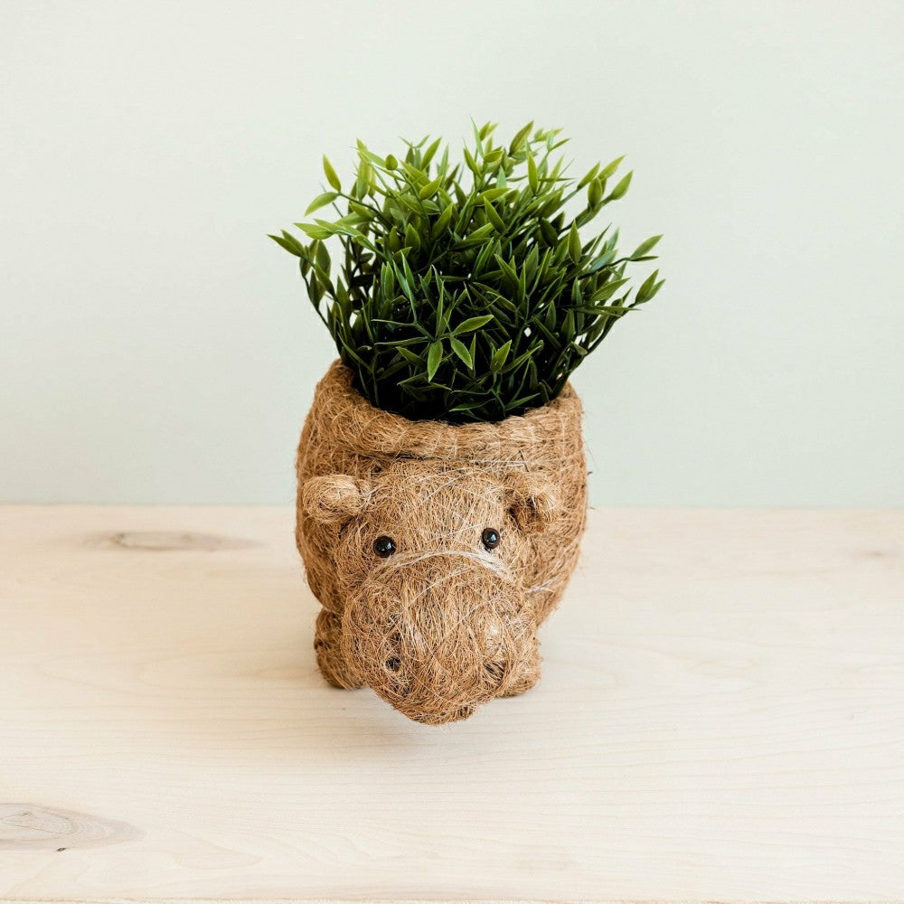 Hippo Planter - Coco Planter | Plow & Hearth