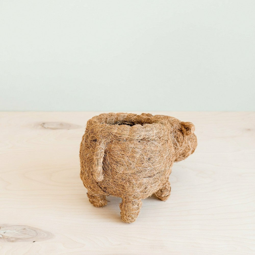 Hippo Planter - Coco Planter | Plow & Hearth