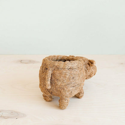 Hippo Planter - Coco Planter | Plow & Hearth