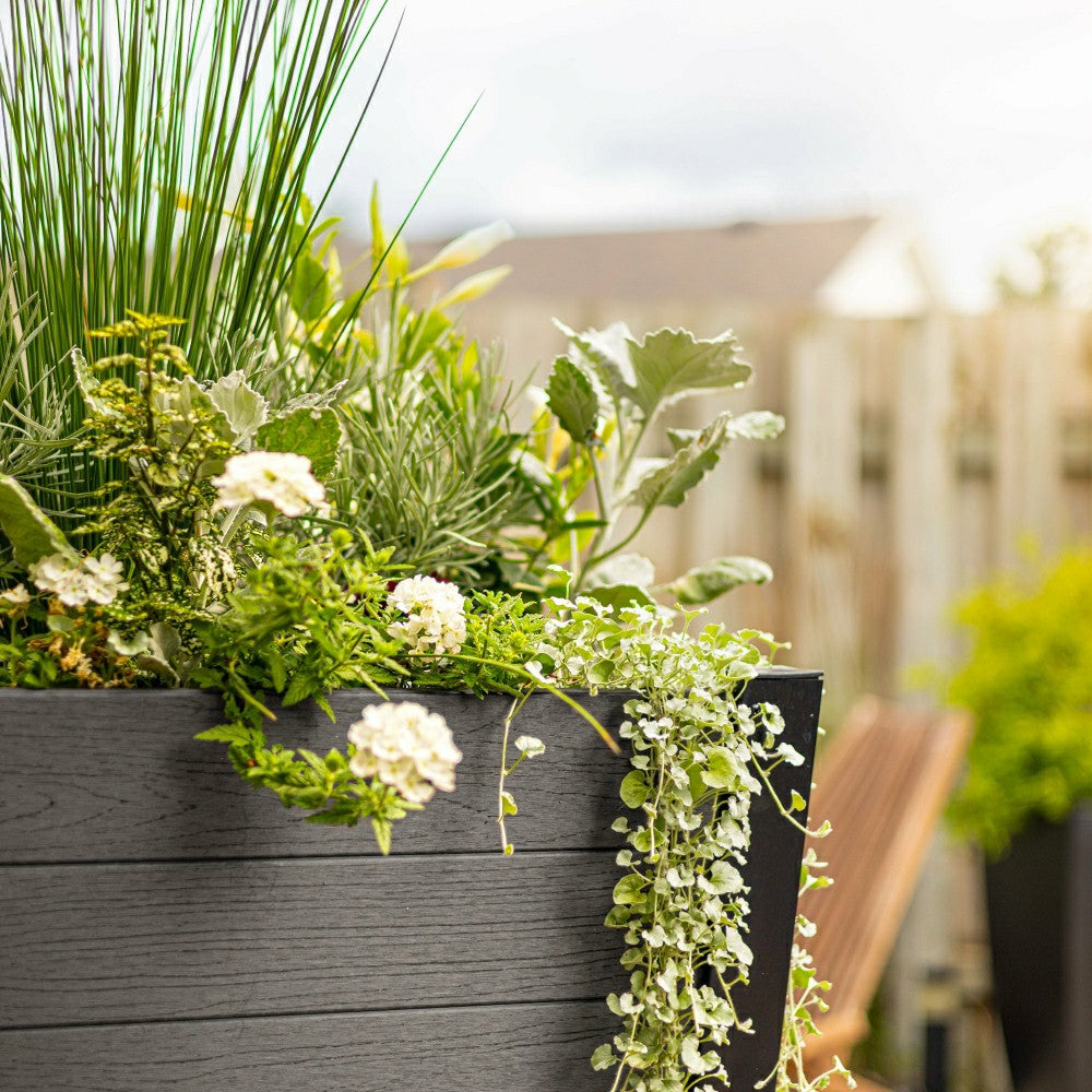 Horizon Charcoal Tapered Planter | Plow & Hearth