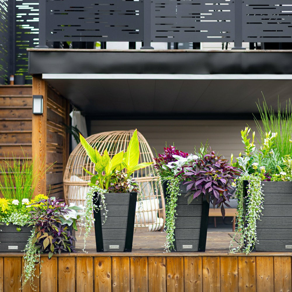 Horizon Charcoal Tapered Planter | Plow & Hearth