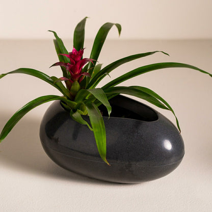 Brazilian Egg Shaped Planter | Plow & Hearth