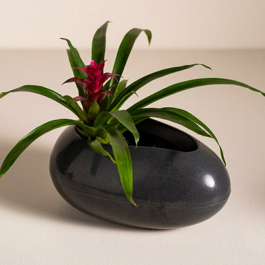 Brazilian Egg Shaped Planter | Plow & Hearth