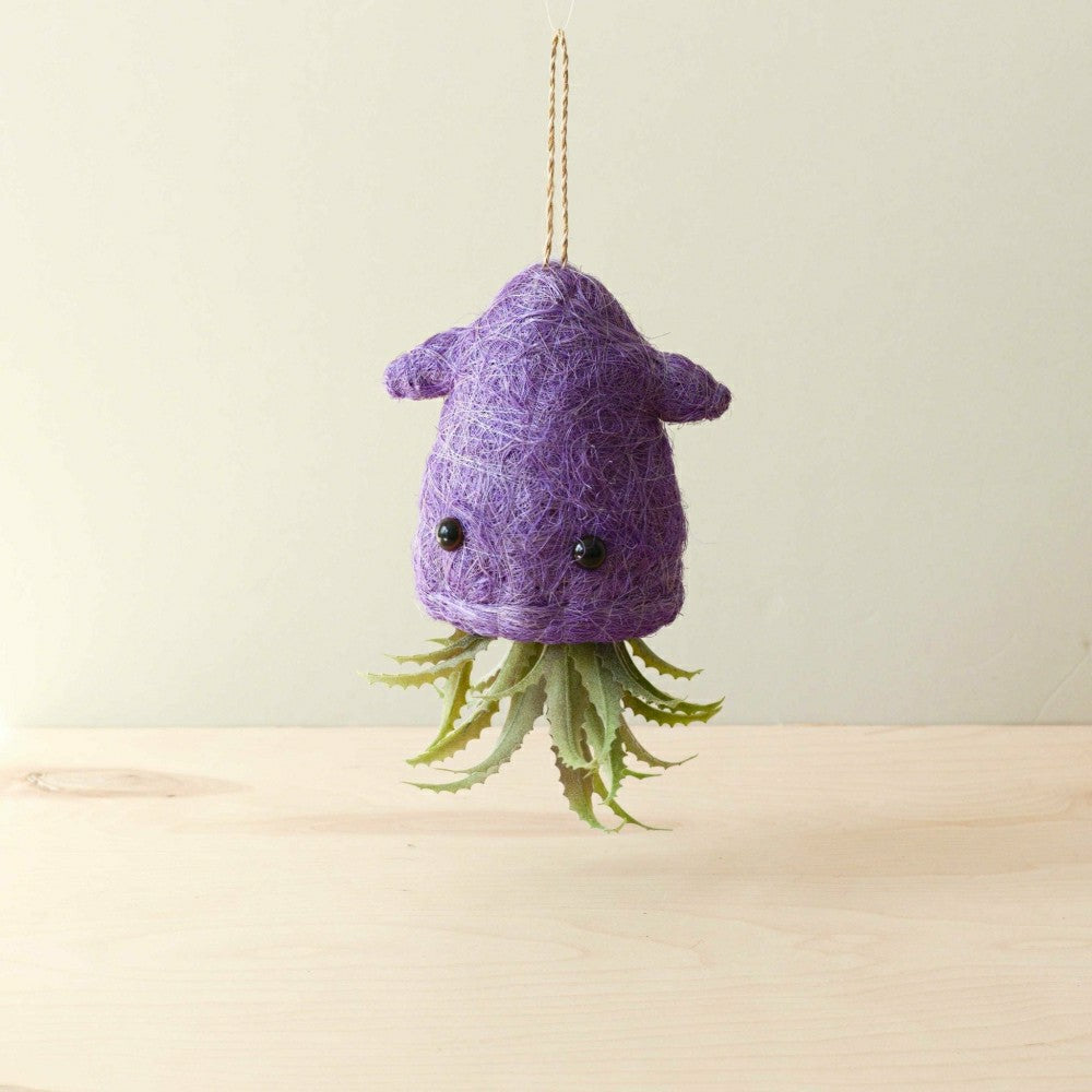 Squid Hanging Planter for Air Plants - Handmade Plant Pot | Plow & Hearth
