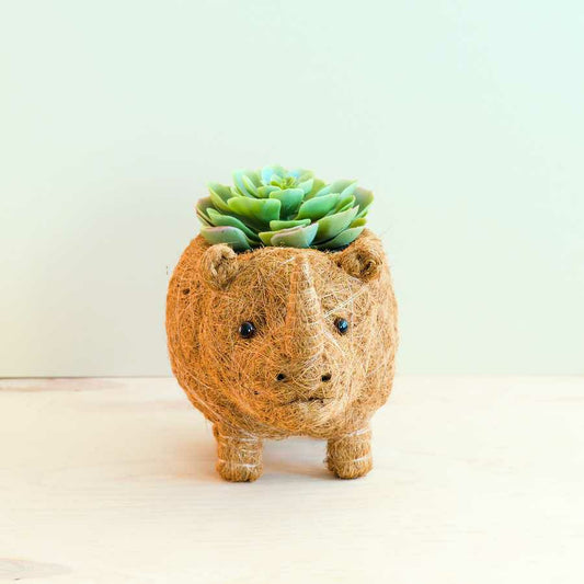 Rhino Planter - Coco Coir Pot | Plow & Hearth