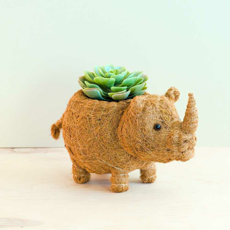 Rhino Planter - Coco Coir Pot | Plow & Hearth