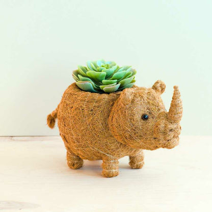 Rhino Planter - Coco Coir Pot | Plow & Hearth