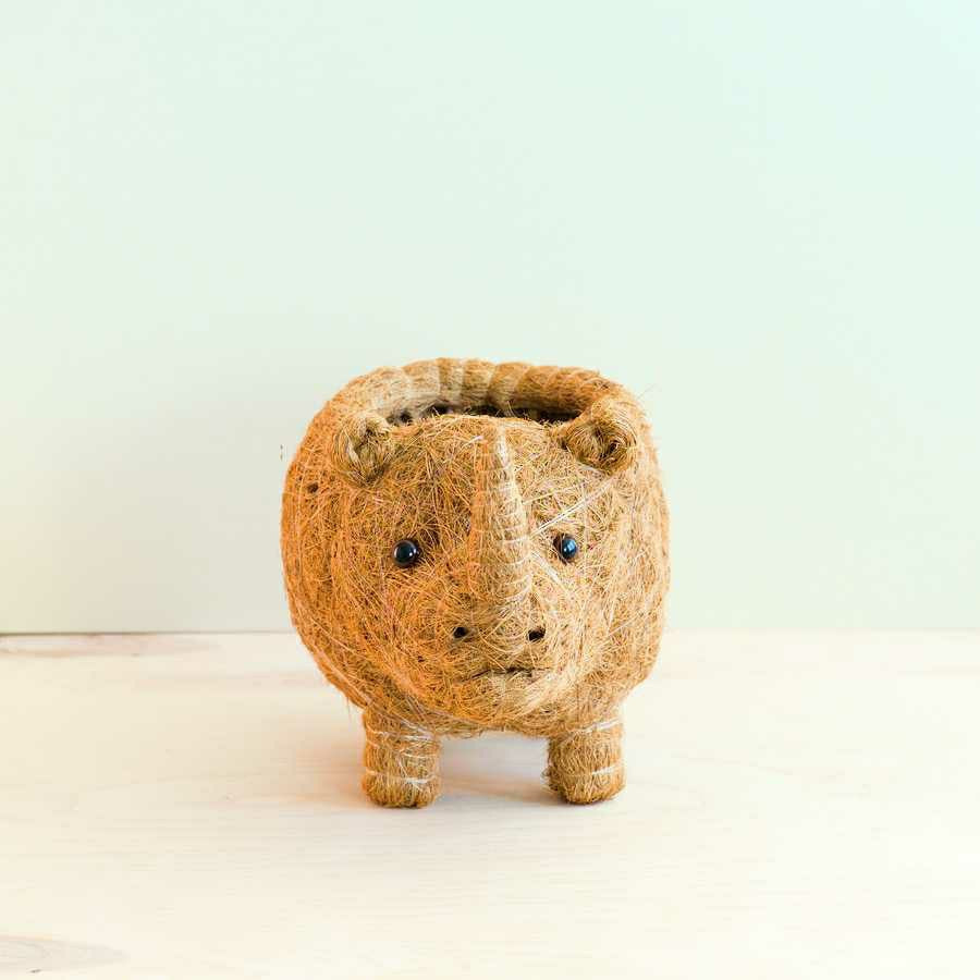 Rhino Planter - Coco Coir Pot | Plow & Hearth