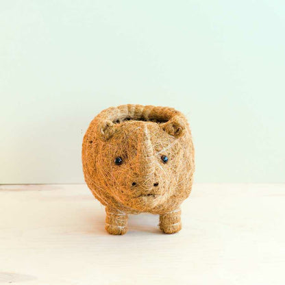 Rhino Planter - Coco Coir Pot | Plow & Hearth