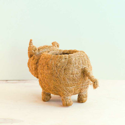 Rhino Planter - Coco Coir Pot | Plow & Hearth