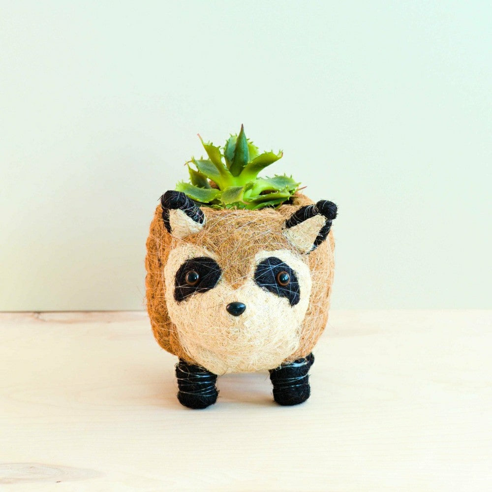 Raccoon Planter - Handmade Plant Pot | Plow & Hearth