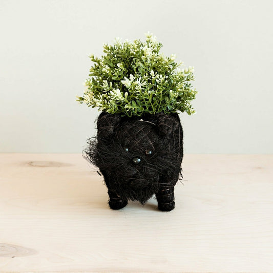 Schnauzer Planter - Coco Coir Pots | Plow & Hearth