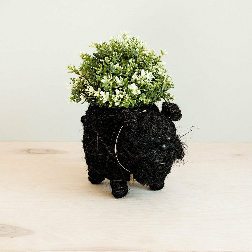 Schnauzer Planter - Coco Coir Pots | Plow & Hearth