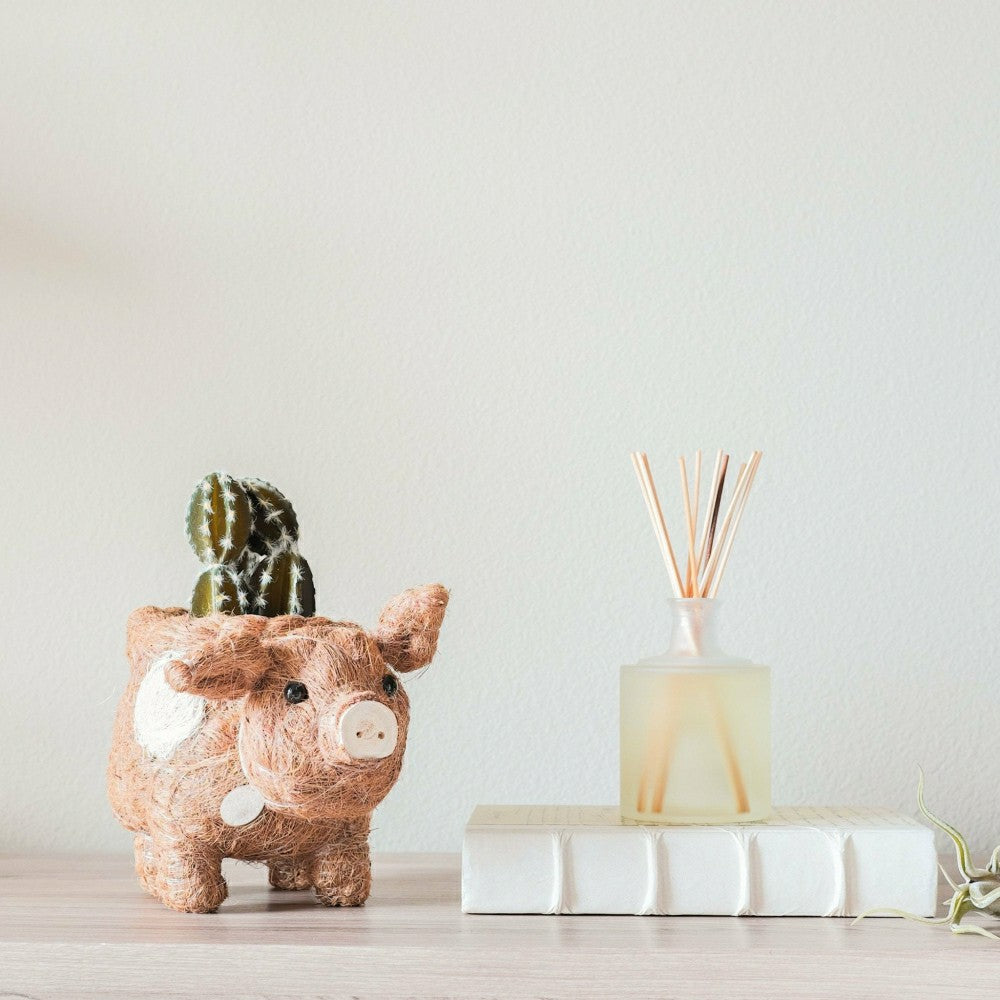 Pig Planter - Coco Coir Pots | Plow & Hearth