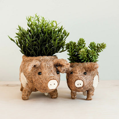 Pig Planter - Coco Coir Pots | Plow & Hearth