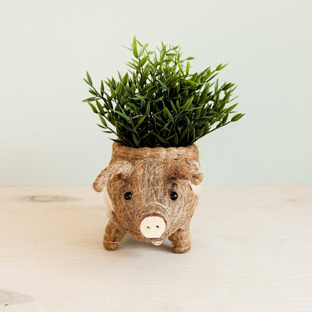 Pig Planter - Coco Coir Pots | Plow & Hearth